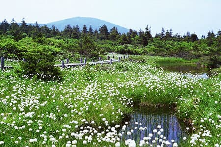 Image: 藏王伊吕波池