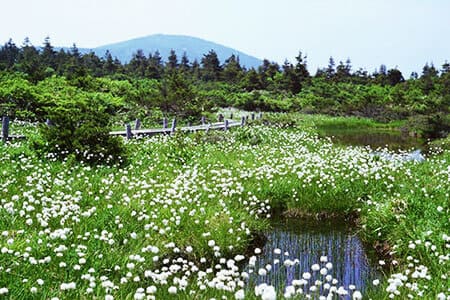 Image: Zao Iroha-numa Pond