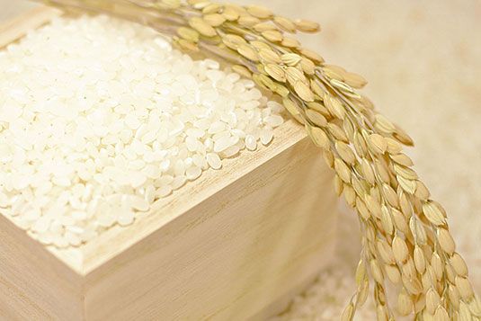 「白さ」「つや」甘み」どれもパーフェクト